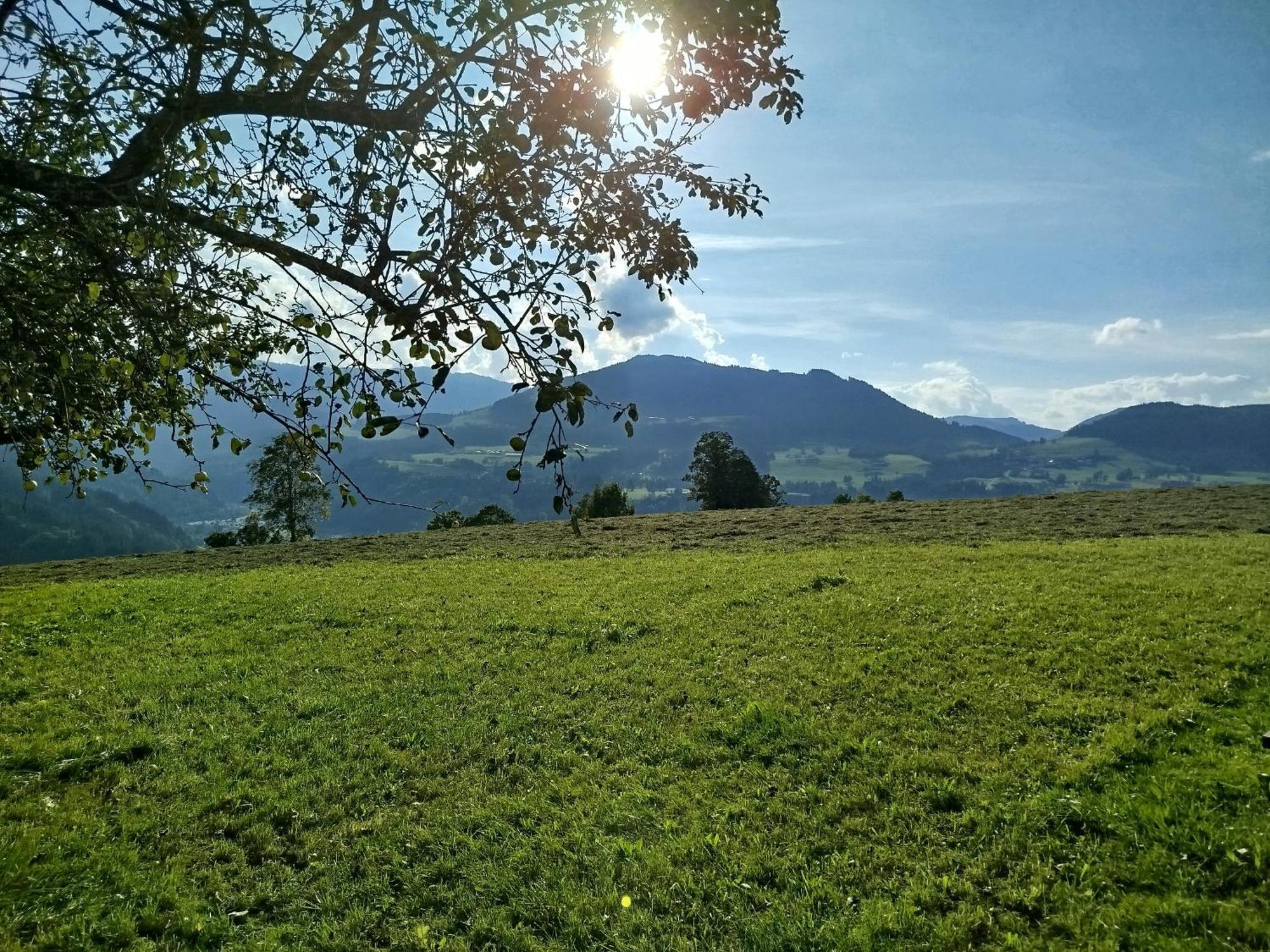 Apartmán Biobauernhof Schuster Hopfgarten im Brixental Exteriér fotografie