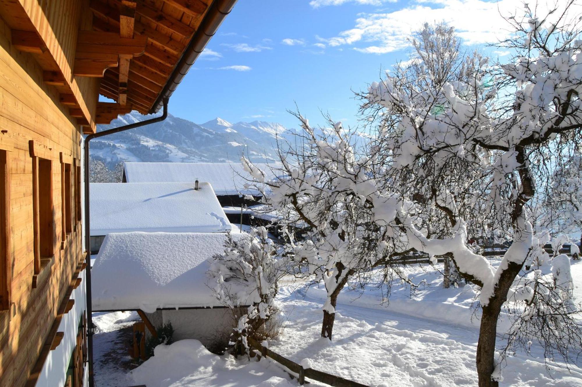 Apartmán Biobauernhof Schuster Hopfgarten im Brixental Exteriér fotografie